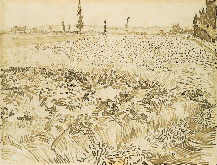  文森特·威廉·梵高  Vincent Willen Van Gogh —— 麦田风光 (2)